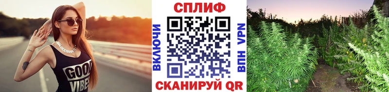 ГАШИШ Пласт