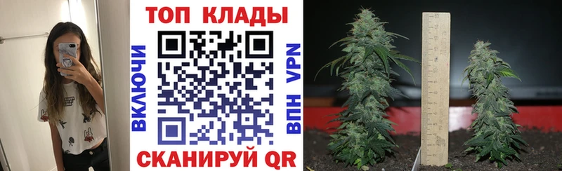 Купить закладку СК  Амфетамин  Галлюциногенные грибы  COCAIN  Меф мяу мяу  Каннабис  Пласт