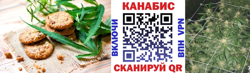 Canna-Cookies марихуана  Купить закладки  Пласт 