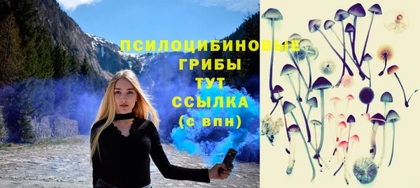 спиды Осташков