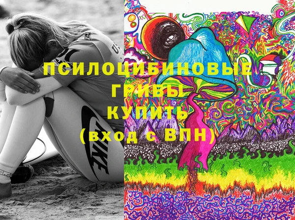 спиды Осташков