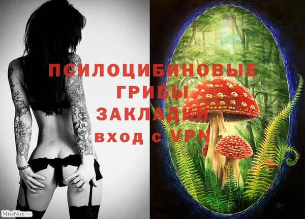 спиды Осташков