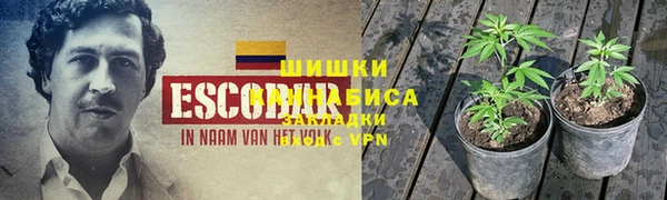 спиды Осташков