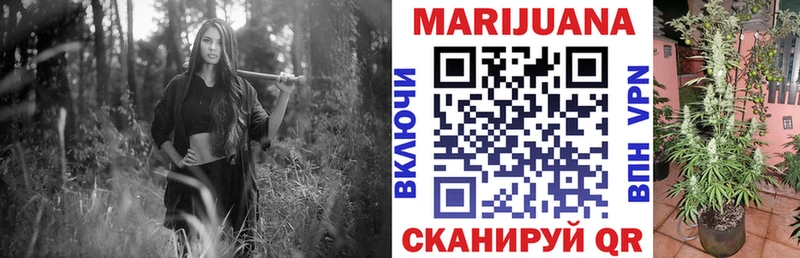 Бошки Шишки марихуана  Купить где  Пласт 